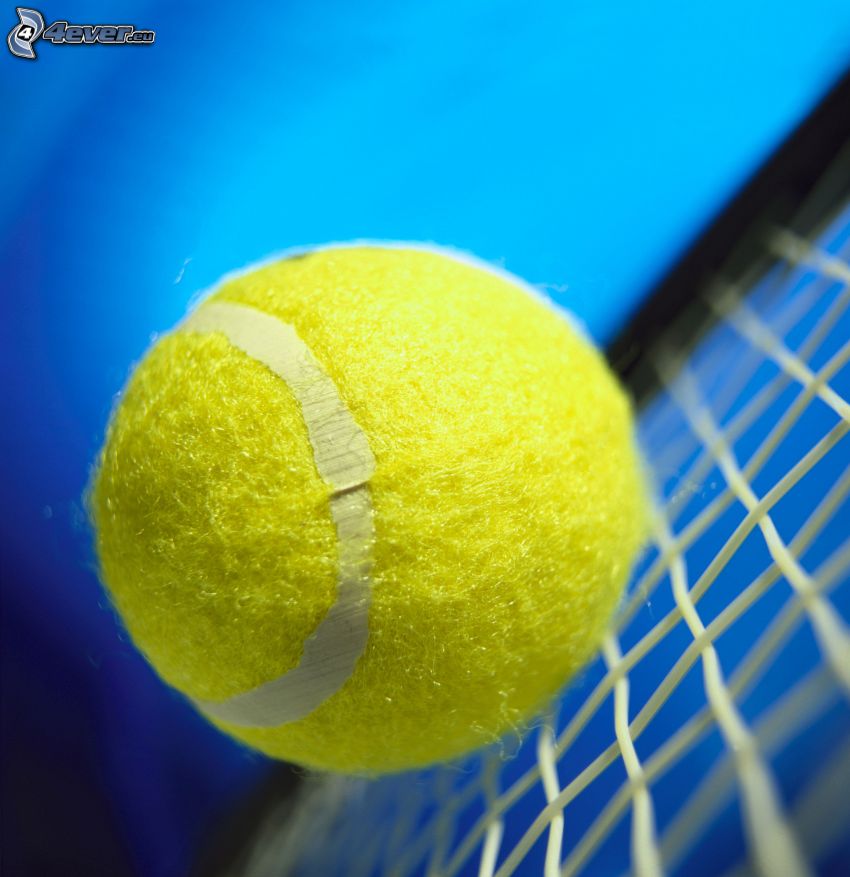 pelota de tenis, raqueta de tenis