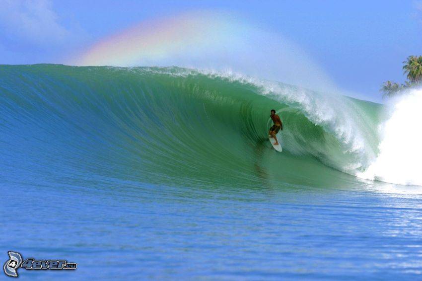 surf, arco iris
