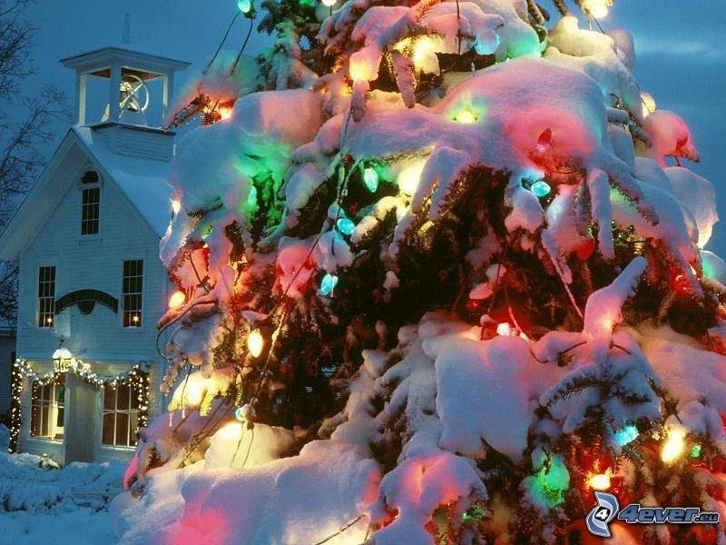 árbol de Navidad, iluminación de colores, navidad, invierno