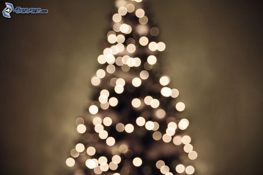 árbol de Navidad, luces