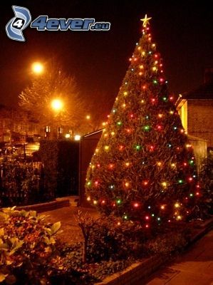 árbol de Navidad