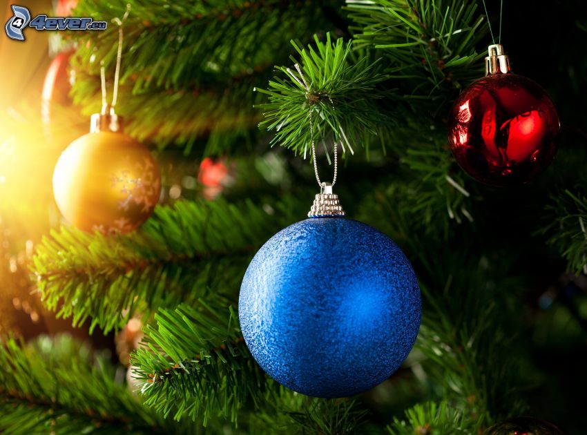 bolas de navidad, árbol de Navidad