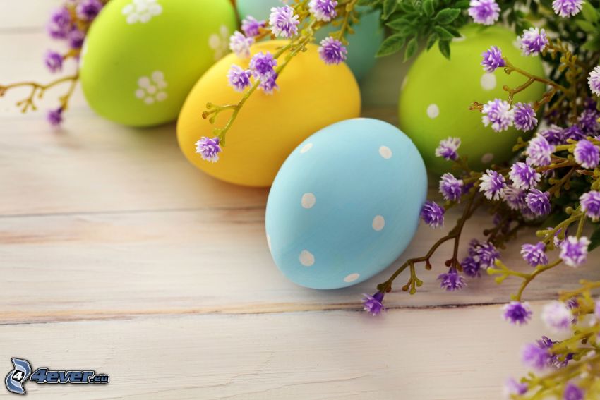 huevos pintados, huevo de Pascua, flores de coolor violeta