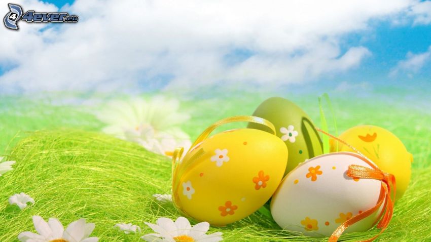 huevos pintados, huevo de Pascua, margaritas
