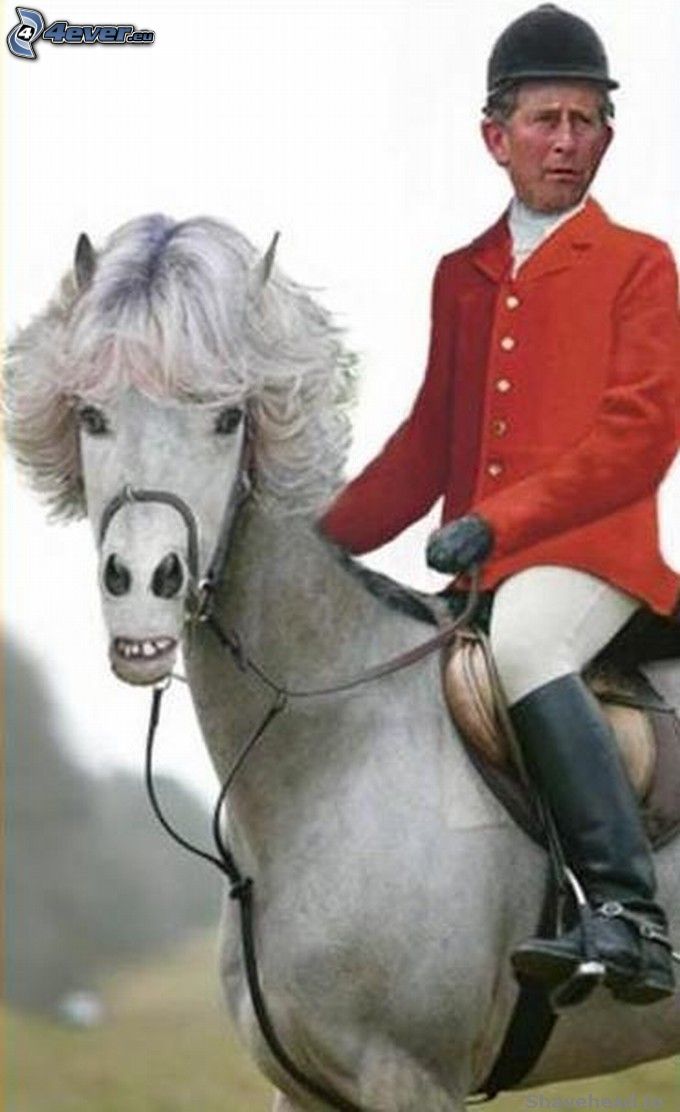 caballo, príncipe Charles