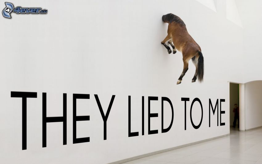 caballo marrón, pared, text