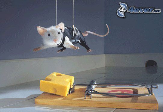 espía, ratón, trampa, queso