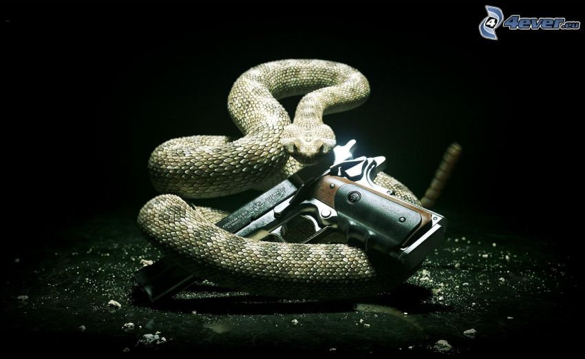 Hitman, serpiente, pistola