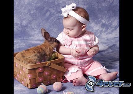 niño, conejo, cesta
