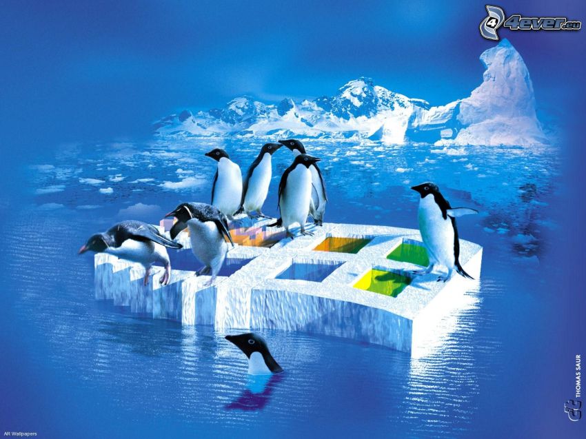 Windows, pingüinos que saltan en el agua, glaciares