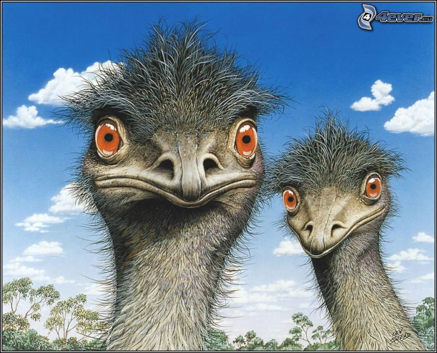 avestruces