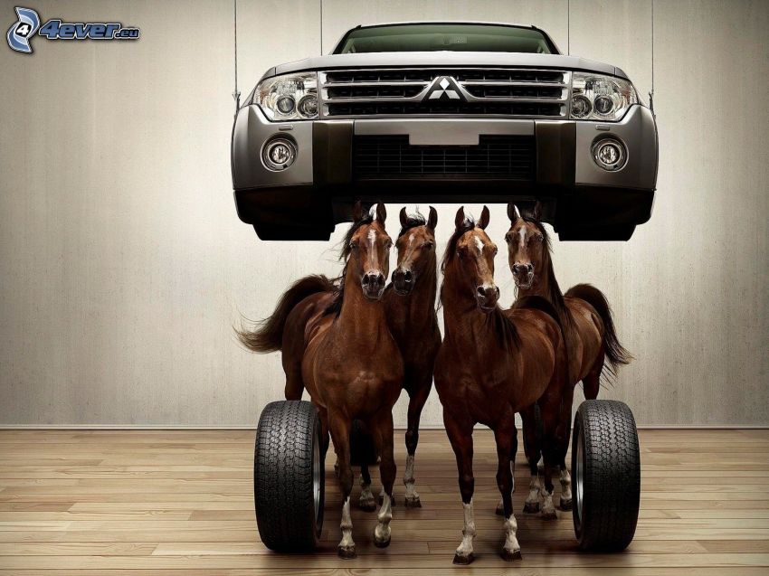 Mitsubishi, los caballos marrónes