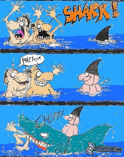 tiburón, mar, risa, hombre, presa