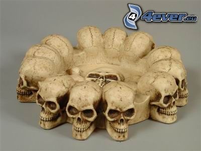cráneo, descarnada, esqueleto, cenicero