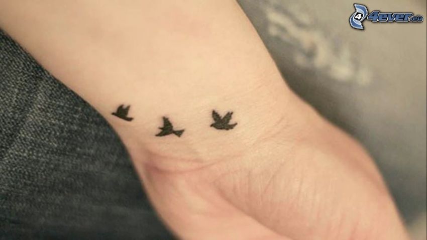 tatuaje, aves, muñeca de la mano