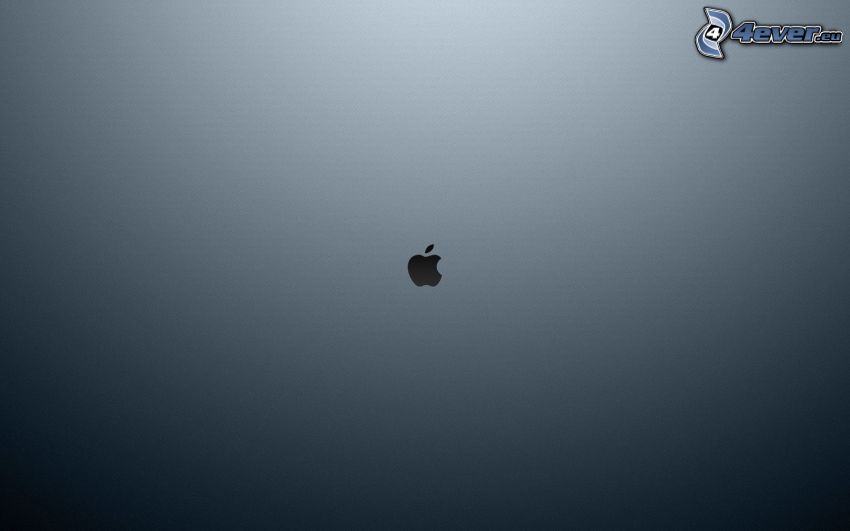 Apple, fondo gris