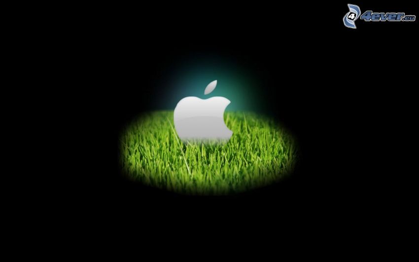 Apple, hierba, luz