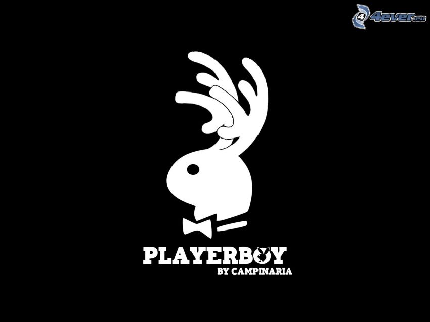 Playerboy