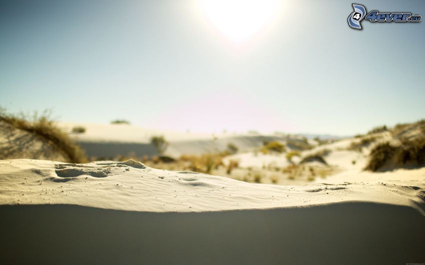 arena, desierto