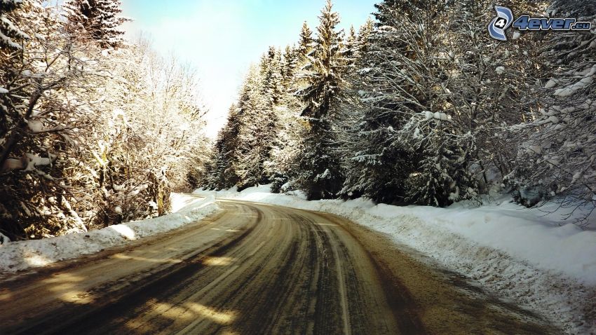 camino por el bosque, bosque nevado