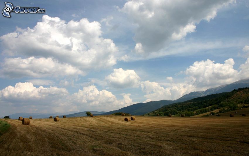 campos, heno después de la cosecha, nubes