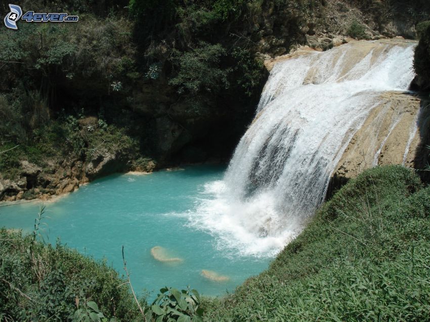 cascada, México, verde