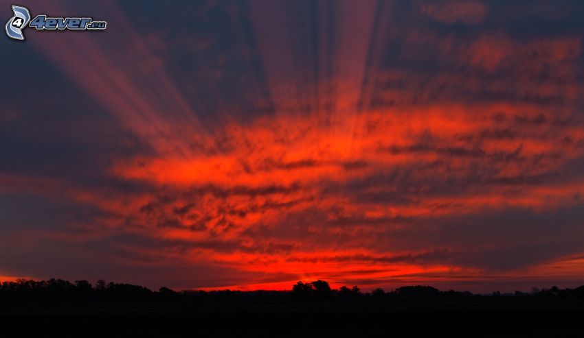 cielo de la tarde, horizonte