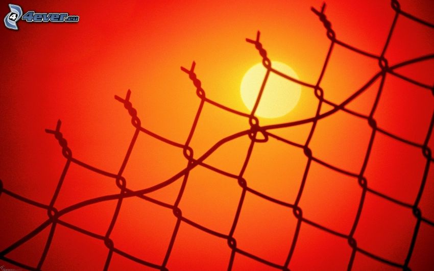 puesta de sol anaranjada, alambre de la cerca
