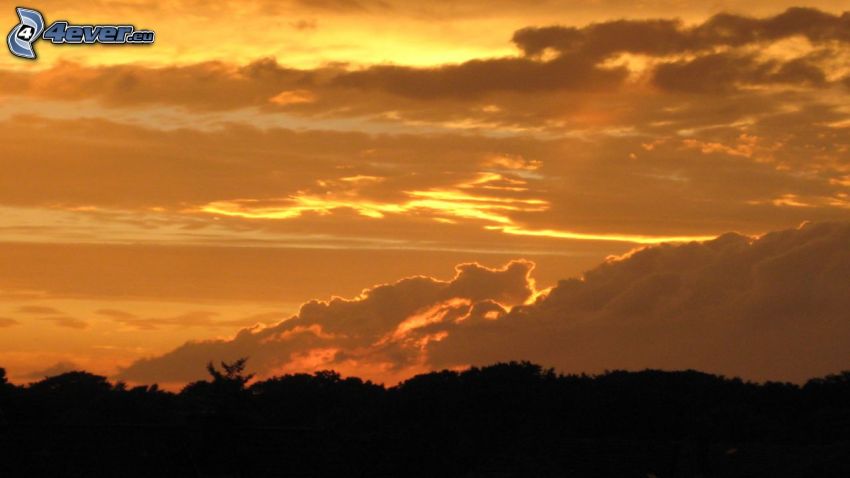 puesta de sol anaranjada, nubes, horizonte