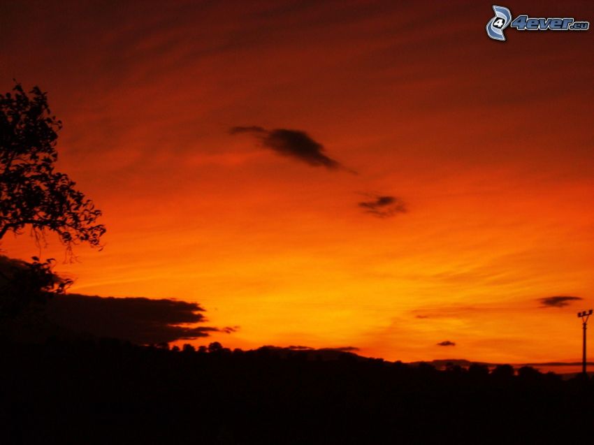 puesta de sol anaranjada, silueta del horizonte