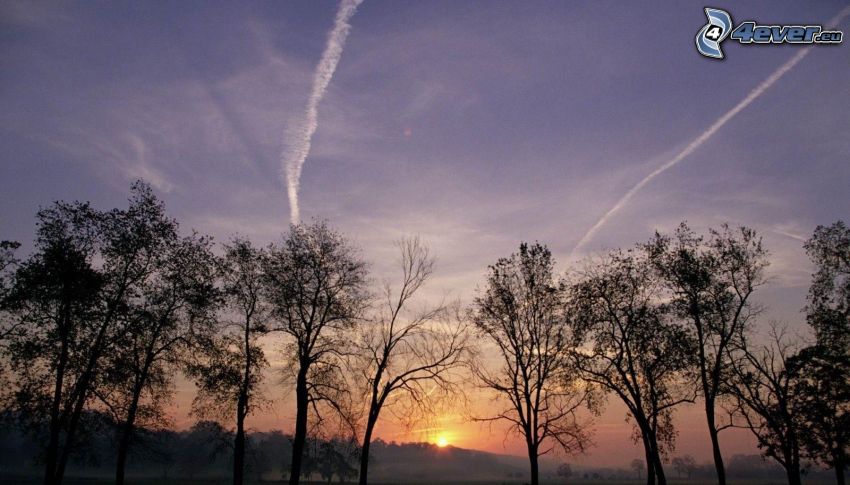 puesta de sol sobre la colina, siluetas de los árboles, marcas de condensación