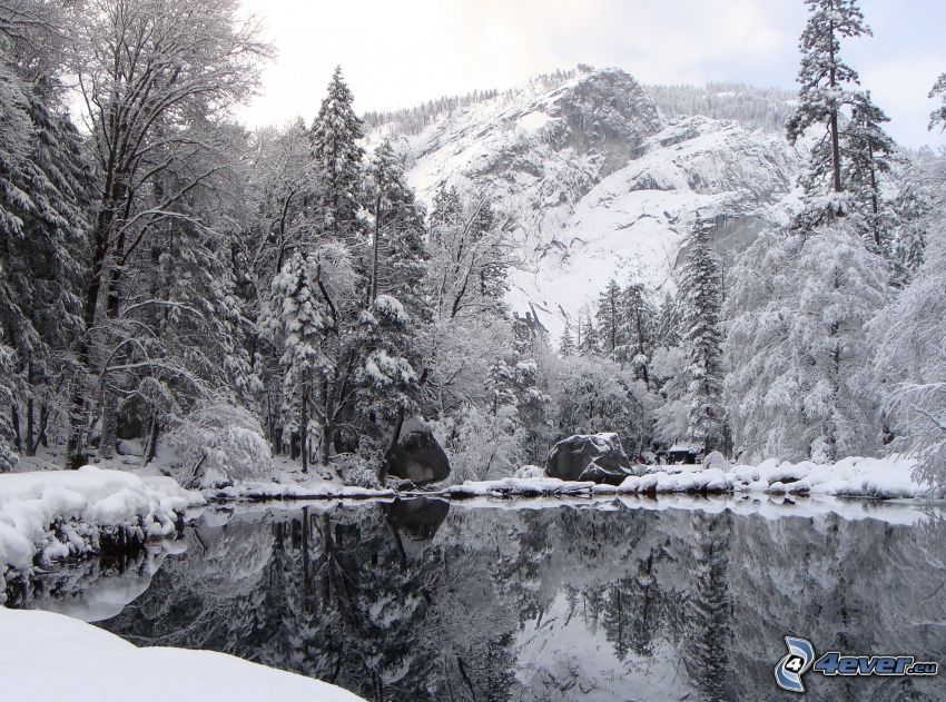 cubierta de nieve en Parque Nacional de Yosemite, lago