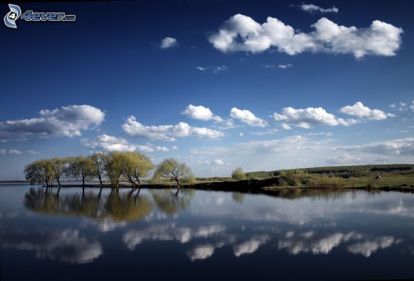 lago, árboles, nubes, reflejo