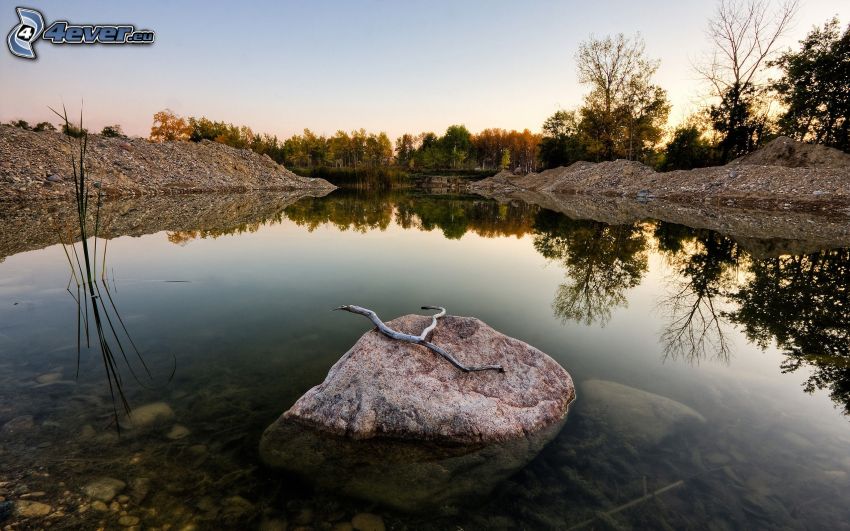 lago, piedra, reflejo, bosque
