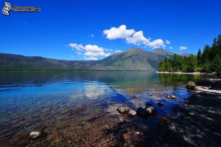 lago, sierra, bosques de coníferas