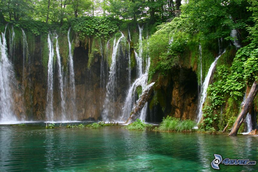 Lago en el bosque, cascadas, verde