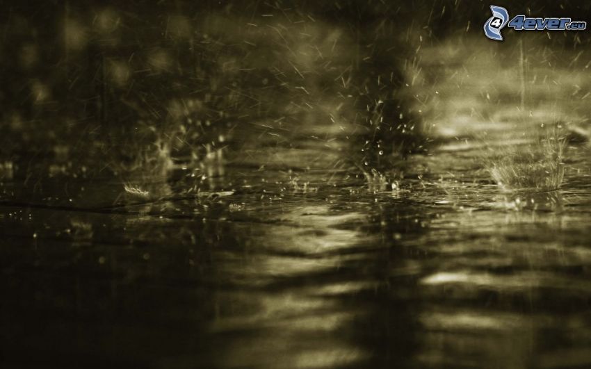 lluvia, gotas de agua