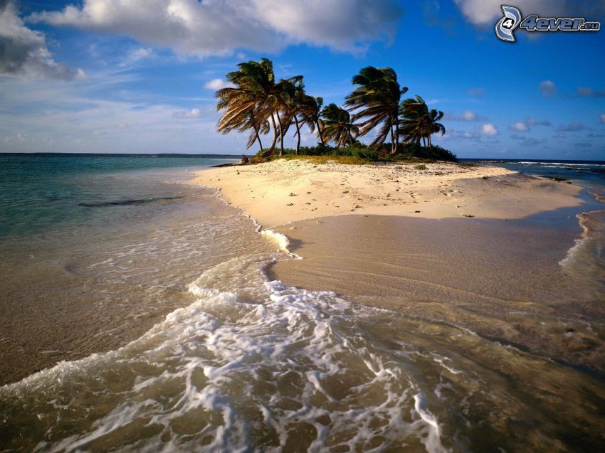 Anguilla, Caribe, isleta de palmeras, playa de arena