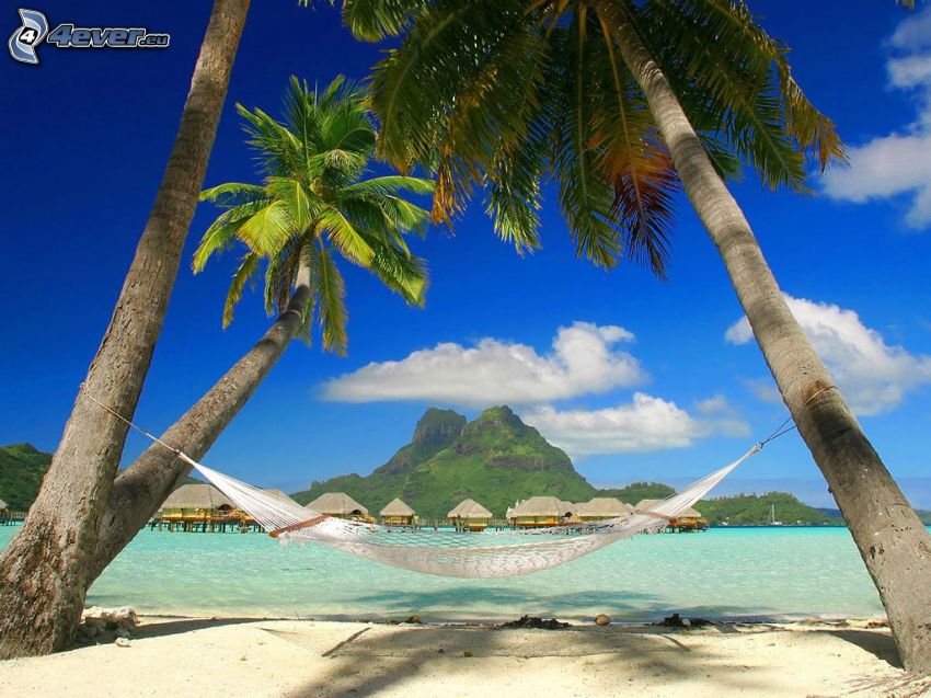 Bora Bora, tumbarse en una red, palmeras en la playa, casitas, vacaciones