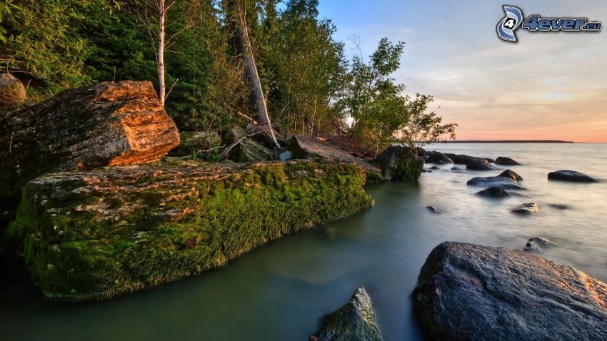 costa rocosa, mar, piedras, verde