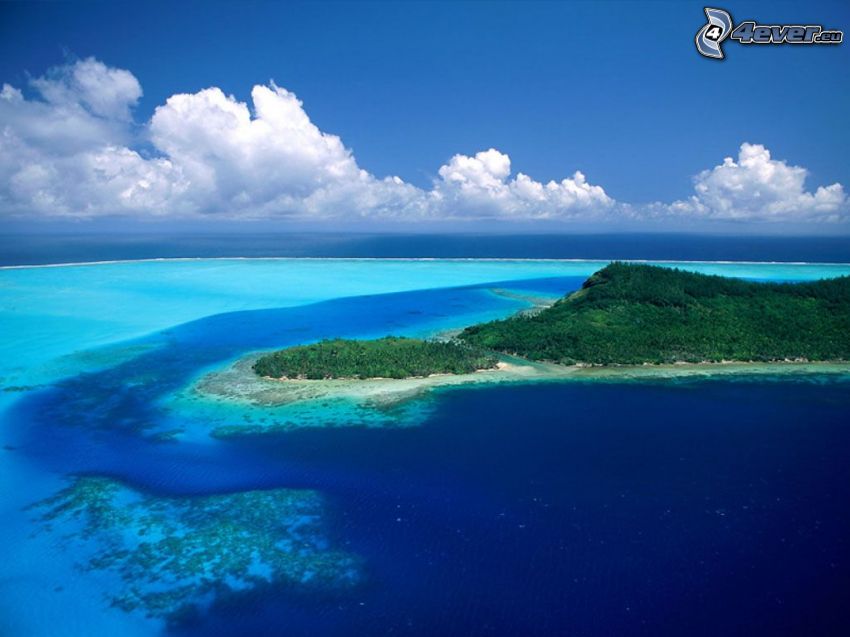 isla, el mar azul, selva