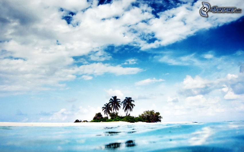 isla tropical, palmera, mar, nubes
