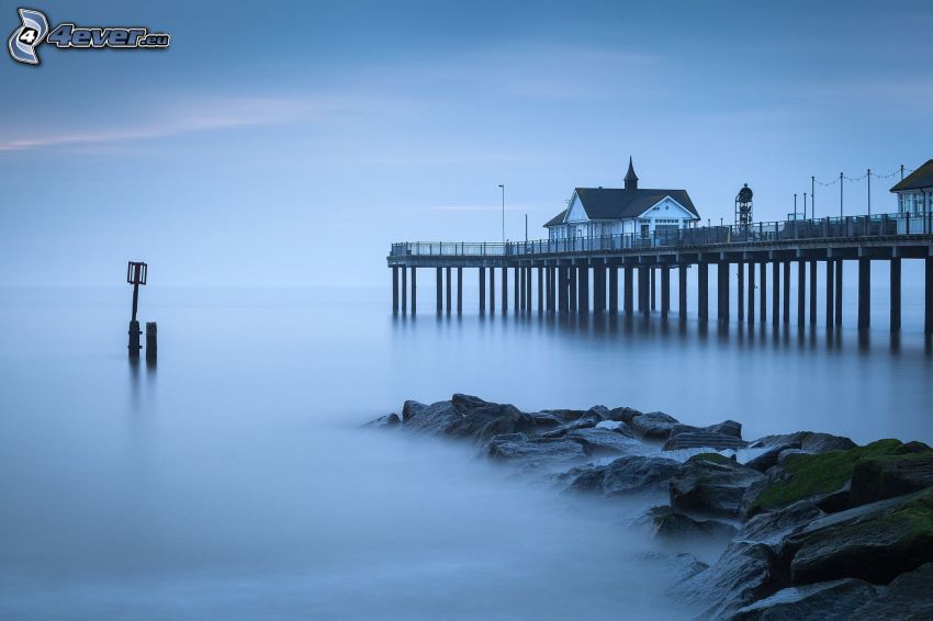 mar, muelle, casa, niebla baja