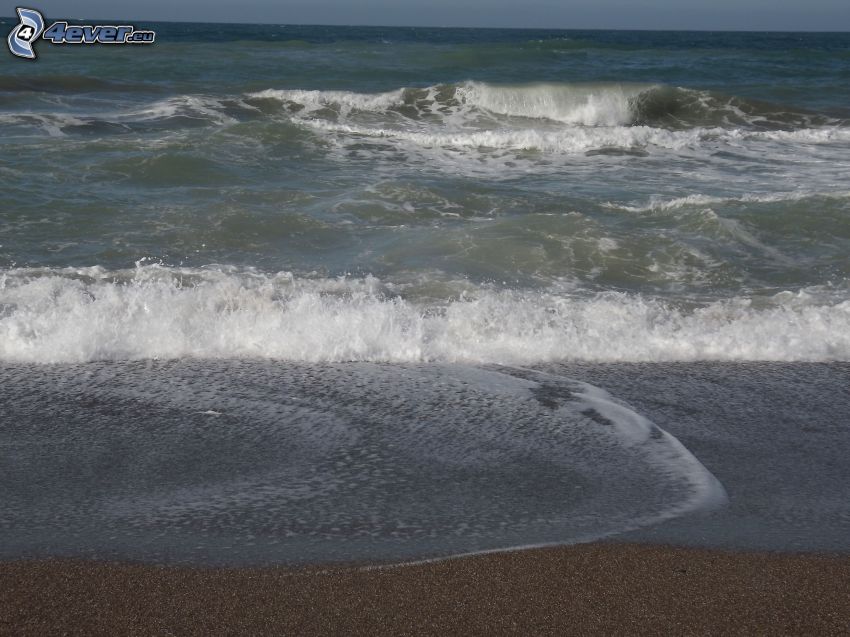 olas en la costa, mar