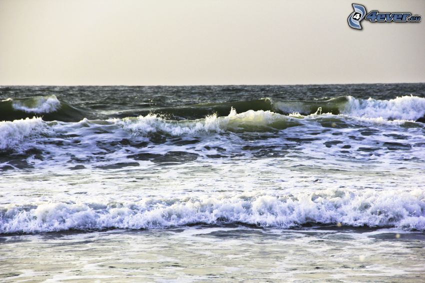 olas en la costa, mar
