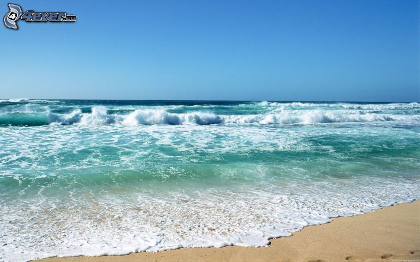 olas en la costa, mar verde, playa