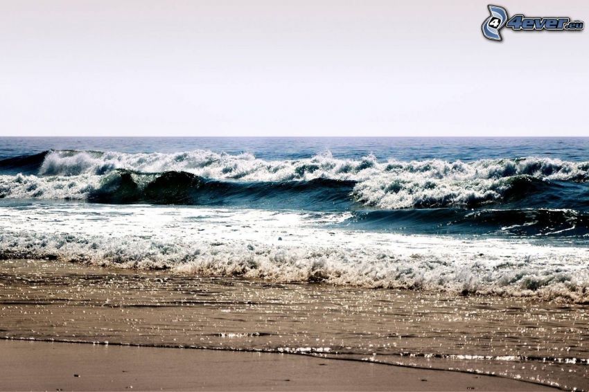 olas en la costa, playa, mar