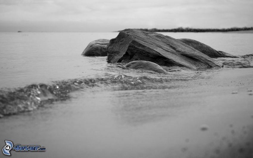 piedras, mar, playa