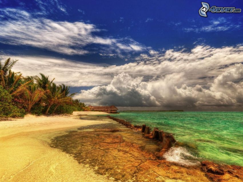 playa, mar, casa junto al mar, nubes, palmera