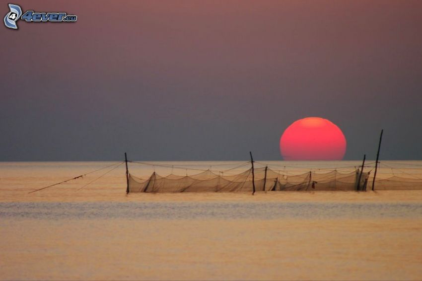 puesta de sol en el mar, red